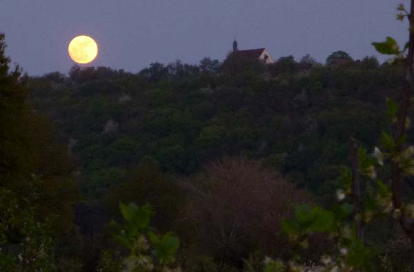 Mondaufgang hinter der Vogelsburg - Blick von unserer Terrasse